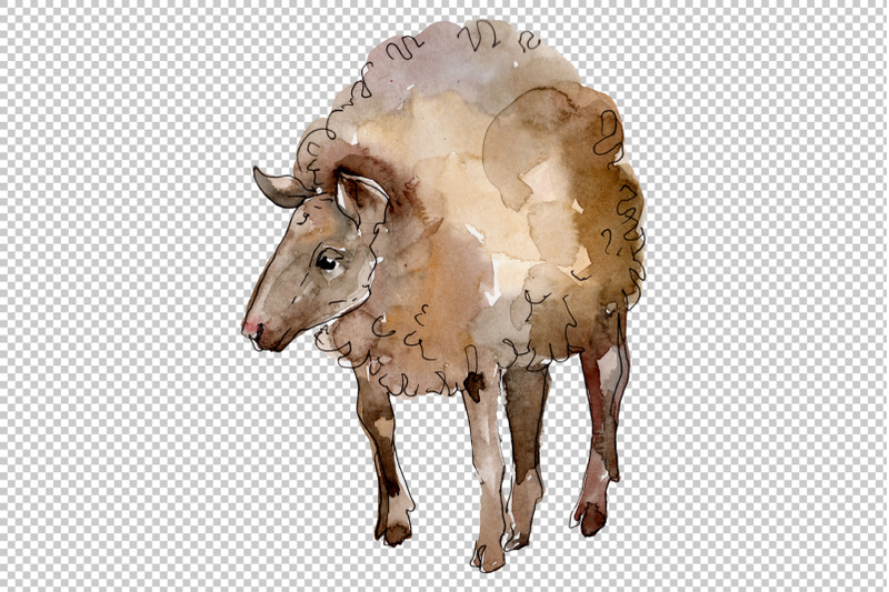 farm-animals-lamb-watercolor-png