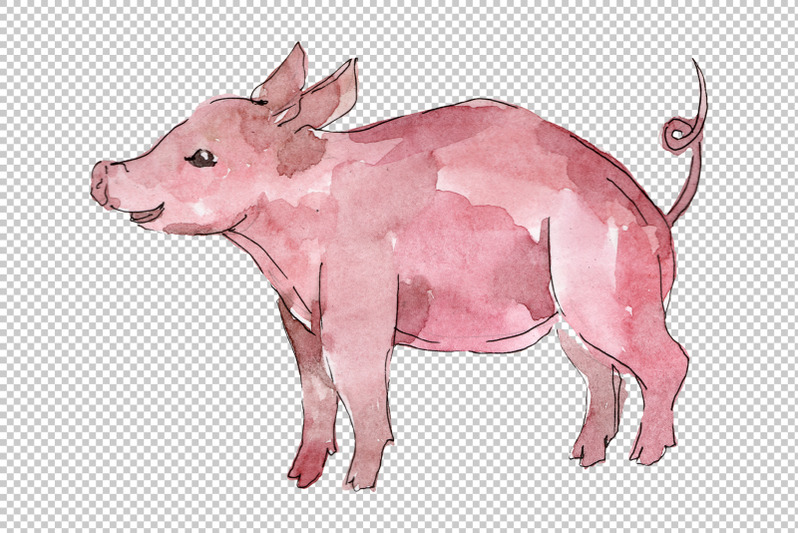 farm-animals-pig-boar-watercolor-png
