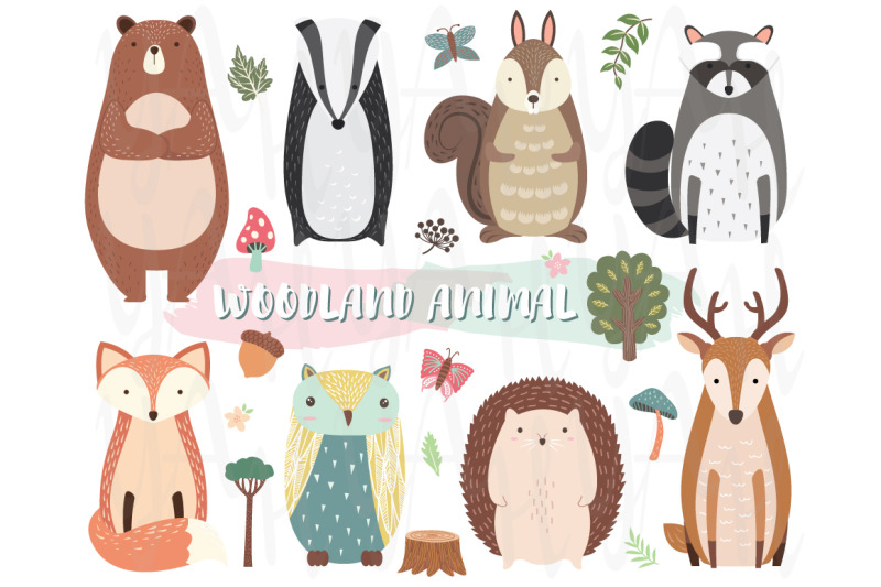 cute-woodland-animal-collection-set