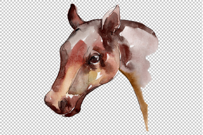 farm-animals-horse-head-watercolor-png