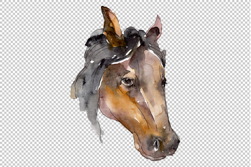 farm-animals-horse-head-watercolor-png