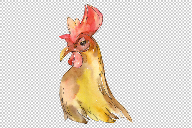 farm-animals-cock-hen-head-watercolor-png