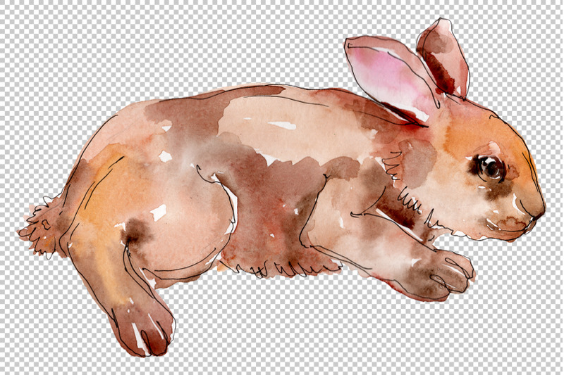 farm-animals-rabbit-watercolor-png