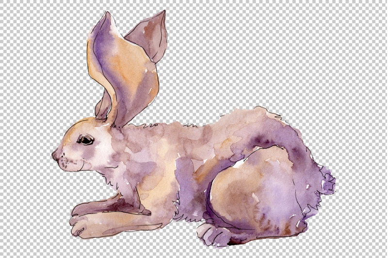 farm-animals-rabbit-watercolor-png
