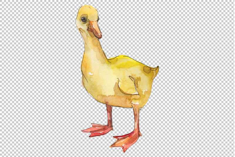 farm-animals-ducklings-watercolor-png