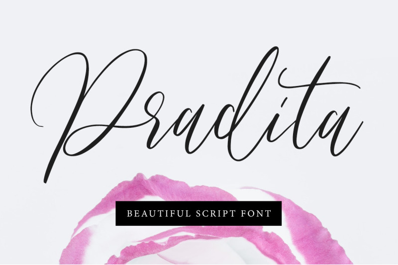 pradita-script-font
