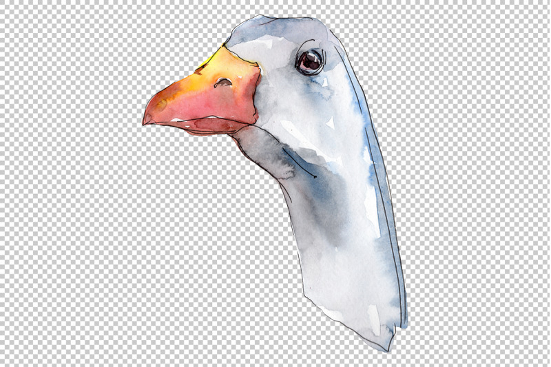 farm-animals-goose-heads-watercolor-png