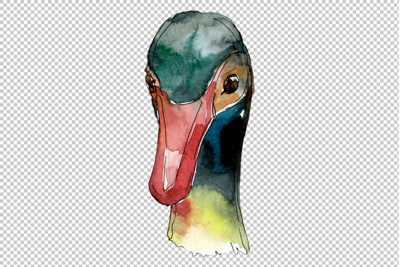 farm-animals-duck-head-watercolor-png