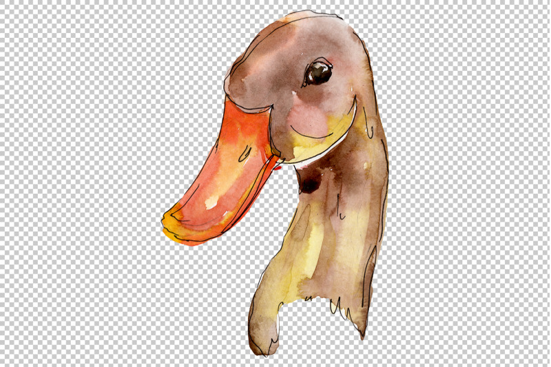 farm-animals-duck-head-watercolor-png