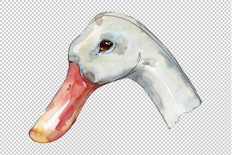 farm-animals-duck-head-watercolor-png