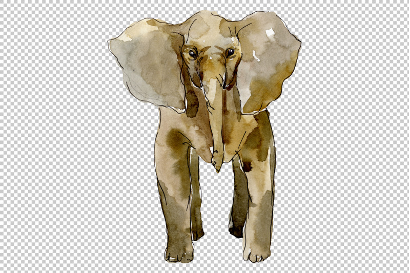 elephant-watercolor-png