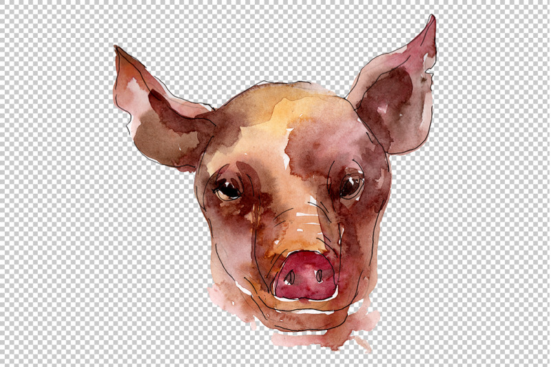nbsp-farm-animals-pig-head-watercolor-png