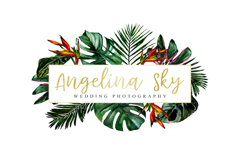 logo-in-tropical-style-watercolor-png