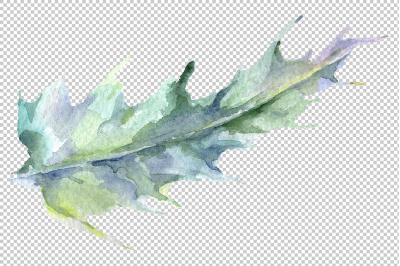 thistle-watercolor-png