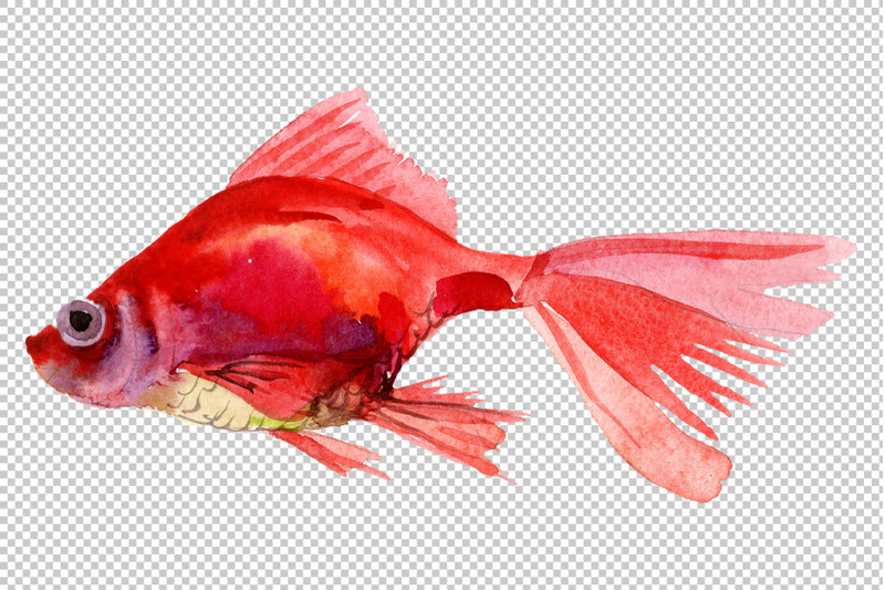 magic-gold-fish-watercolor-png