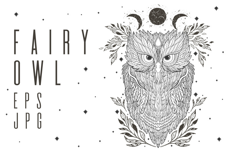 fairy-owl