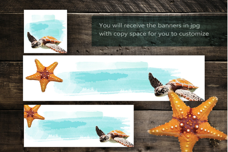 Set Of Social Media Templates With Copy Space Sea Turtle Starfish By Artspot Thehungryjpeg Com
