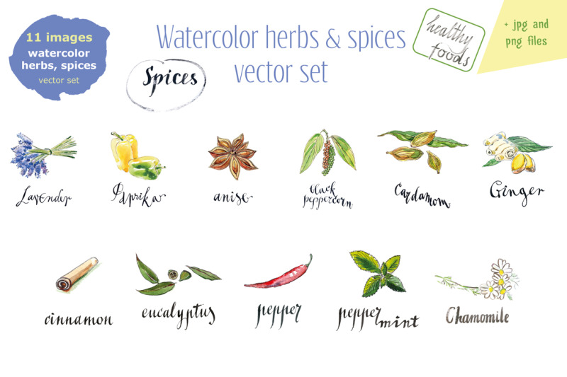 watercolor-herbs-amp-spices-2