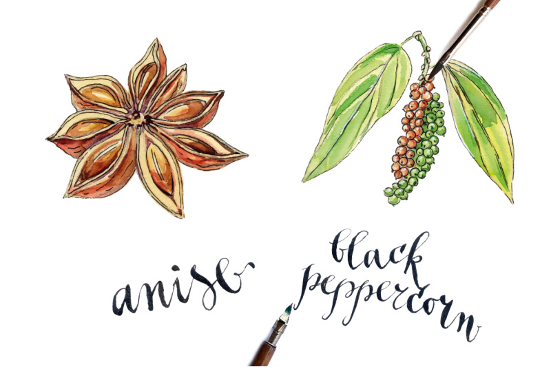 watercolor-herbs-amp-spices-2