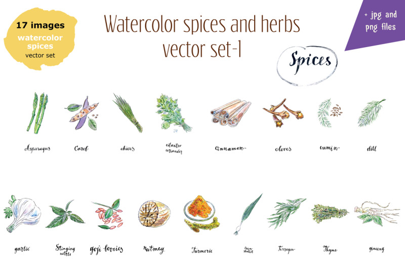 watercolor-spices-vector-set-1
