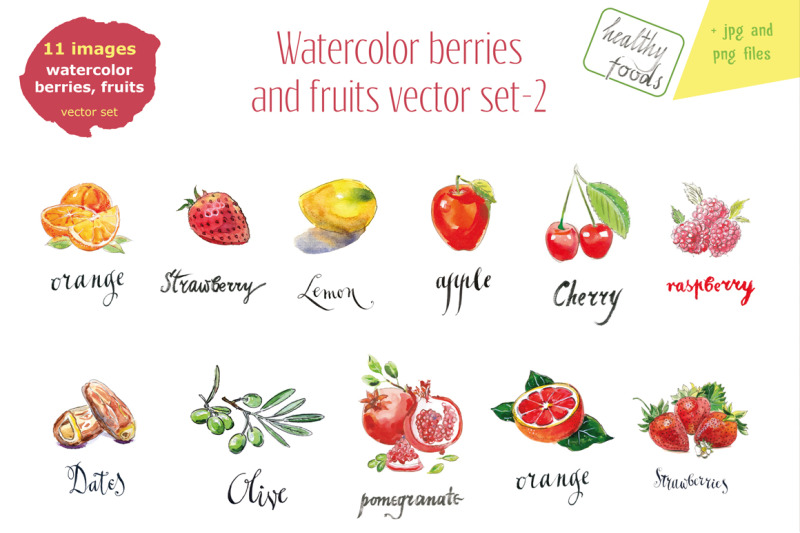 watercolor-berries-and-fruits-2
