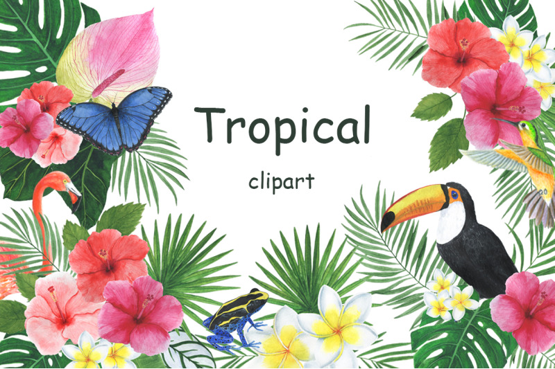 tropical-watercolor-tropical-flowers-tropical-animals
