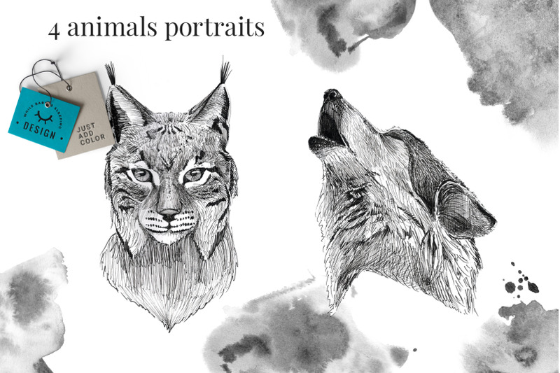 black-ink-animals-portraits