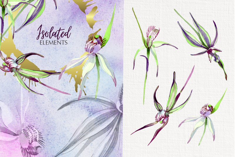 wild-orchid-watercolor-png