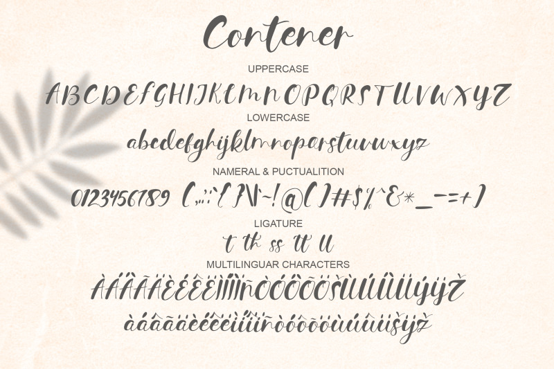 contener-handwritting-font
