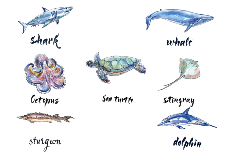 watercolor-sea-animals