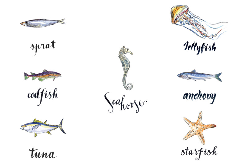 watercolor-sea-animals