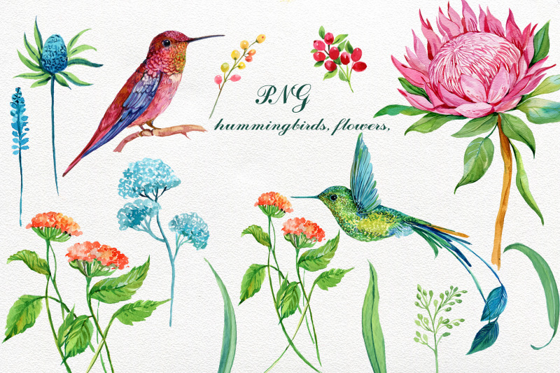 hummingbirds-exotic-flowers-clipart