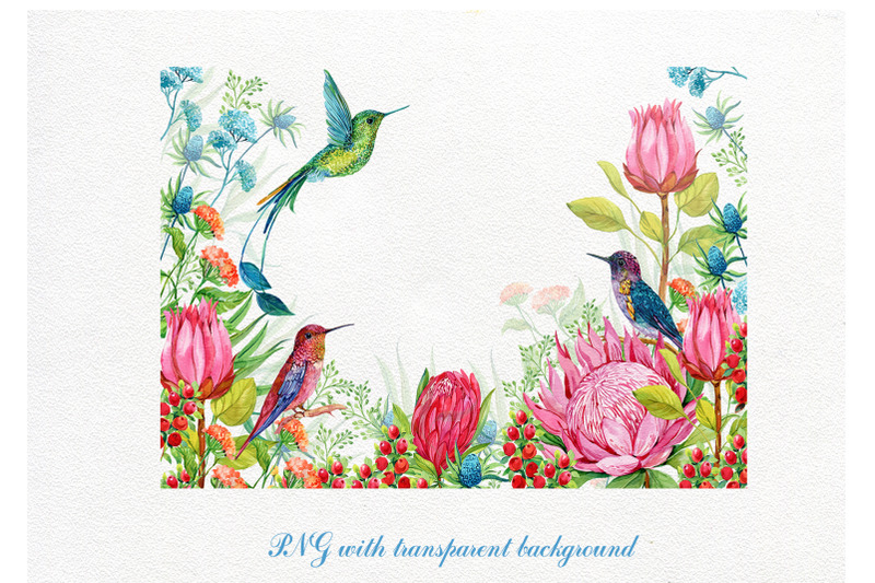 hummingbirds-exotic-flowers-clipart