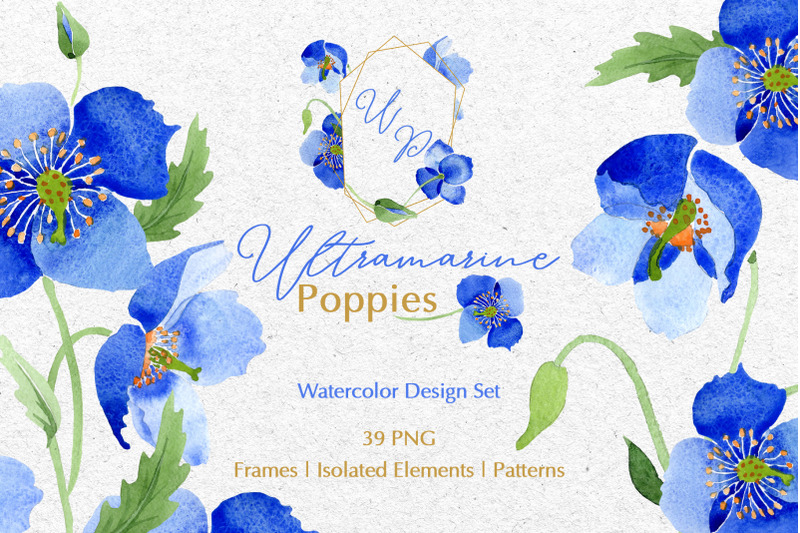 ultramarine-blue-poppies-watercolor-png