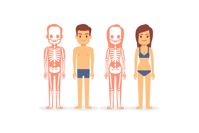 man-and-woman-male-and-female-skeletons-isolated-on-white-background