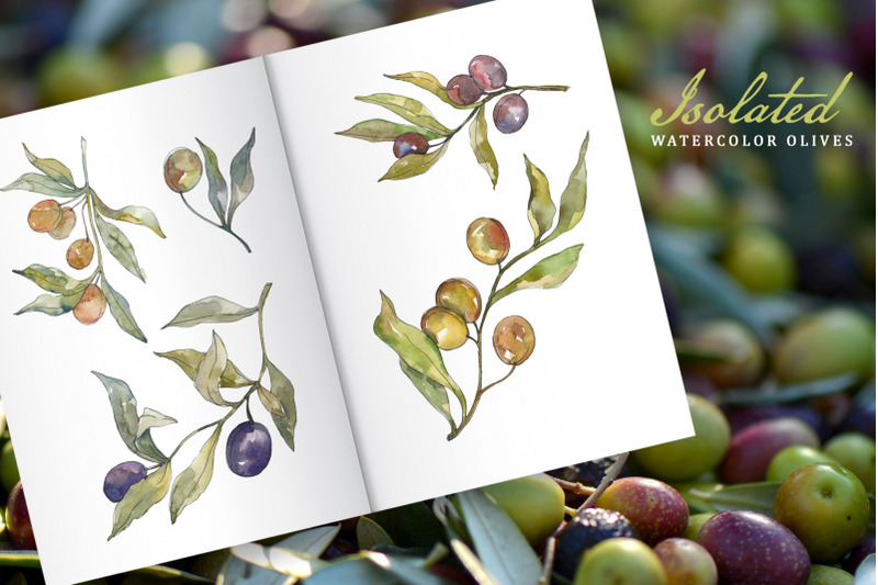 tasty-olives-watercolor-png