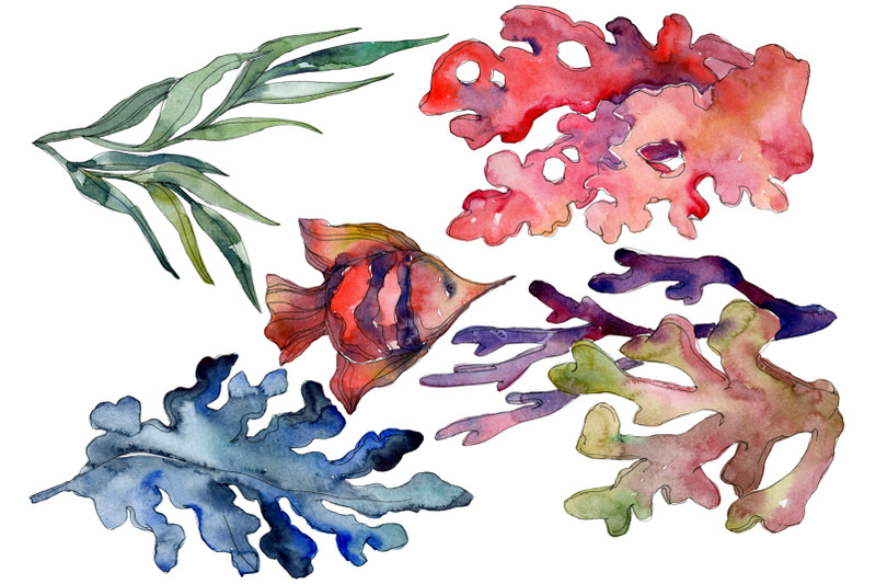 corals-watercolor-png