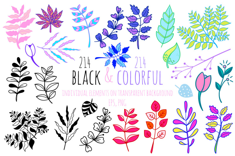 botanical-set