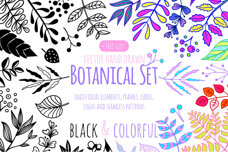 botanical-set