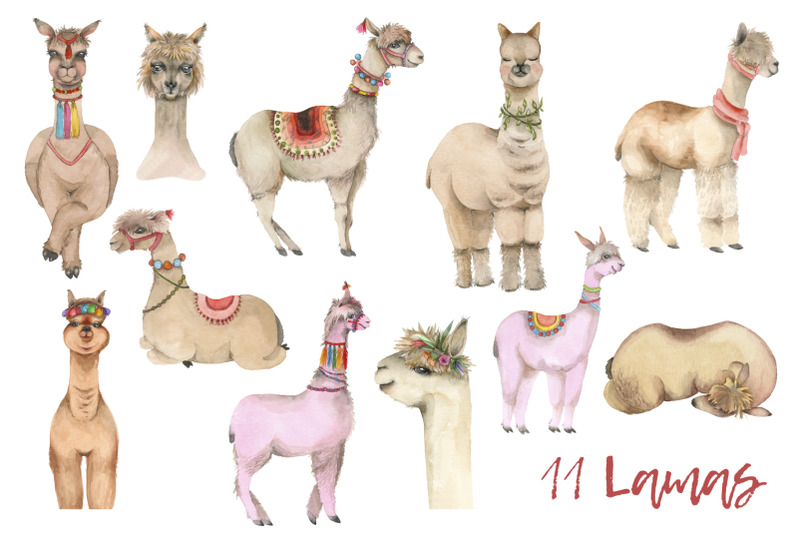 lama-in-cactus-collection