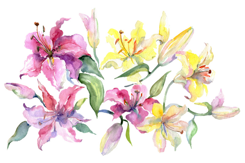 bouquet-with-lilies-pink-and-yellow-watercolor-png