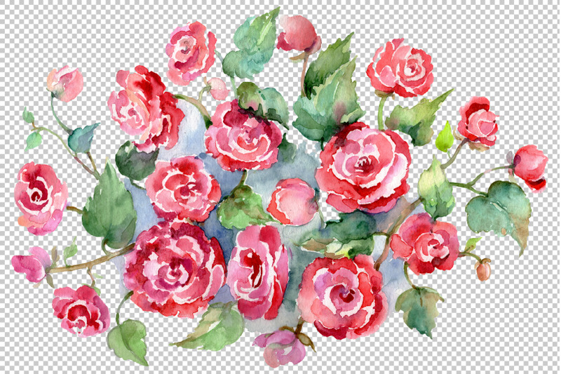 bouquet-of-roses-pinks-metamorphosis-watercolor-png
