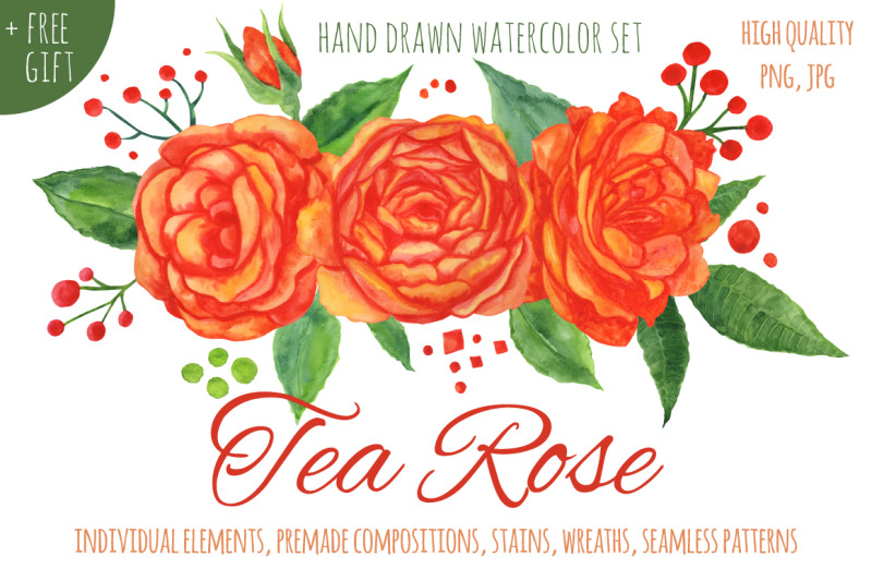 tea-rose