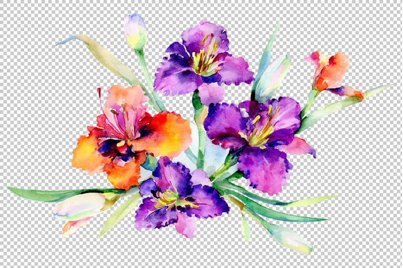 bouquet-freesia-watercolor-png