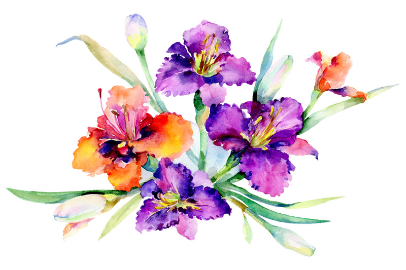 bouquet-freesia-watercolor-png