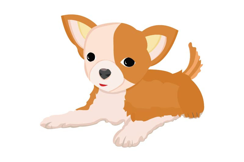 cute-chihuahua-dog-illustration