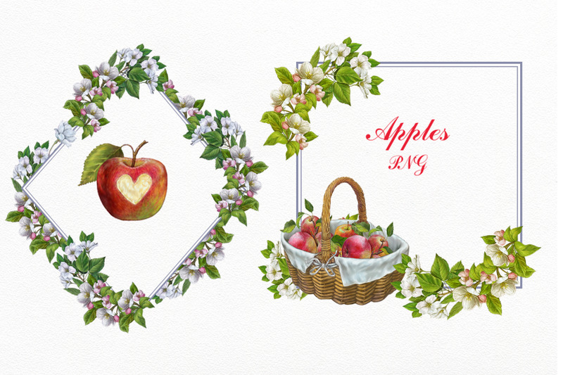apples-clipart-basket-of-apples