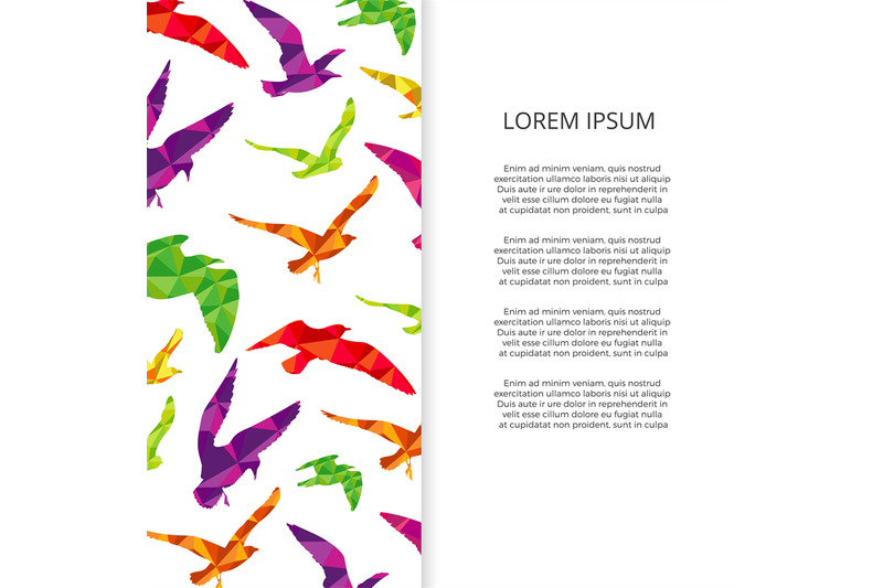 colorful-birds-silhouettes-banner-design