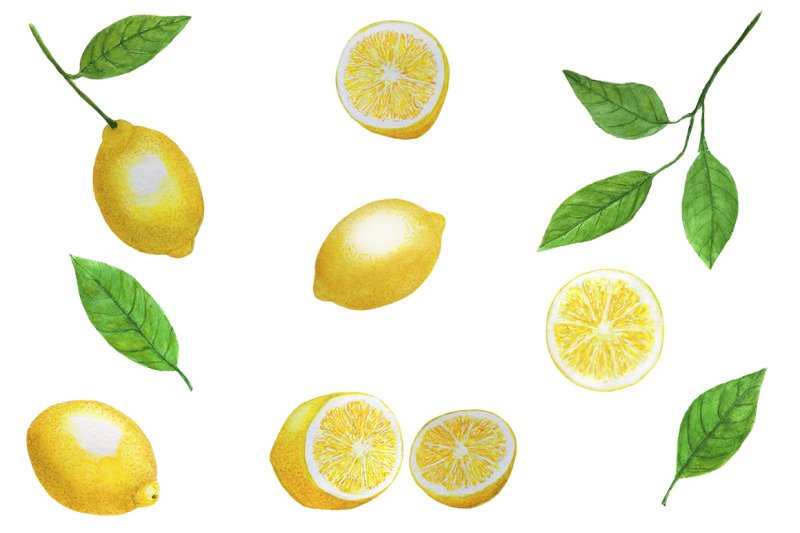 lemons-watercolor-lemons-pattern-citrus-watercolor-citrus-pattern