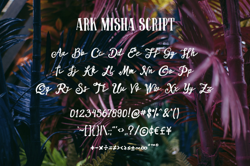ark-misha-font-duo
